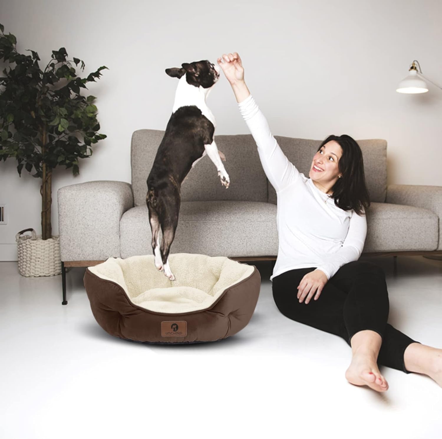 Small Dog Bed for Small Dogs, Cat Beds for Indoor Cats, Pet Bed for Puppy and Kitty, Extra Soft & Machine Washable with Anti-Slip & Water-Resistant Oxford Bottom, Brown, 20 Inches Small Dog Bed for Small Dogs, Cat Beds for Indoor Cats, Pet Bed for Puppy and Kitty, Extra Soft & Machine Washable with Anti-Slip & Water-Resistant Oxford Bottom, Brown, 20 Inches